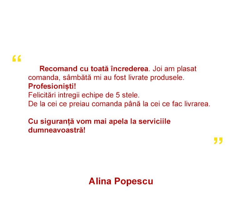 Sunt foarte profesionişti şi lucrează foarte bine, chiar rapid aș putea spune